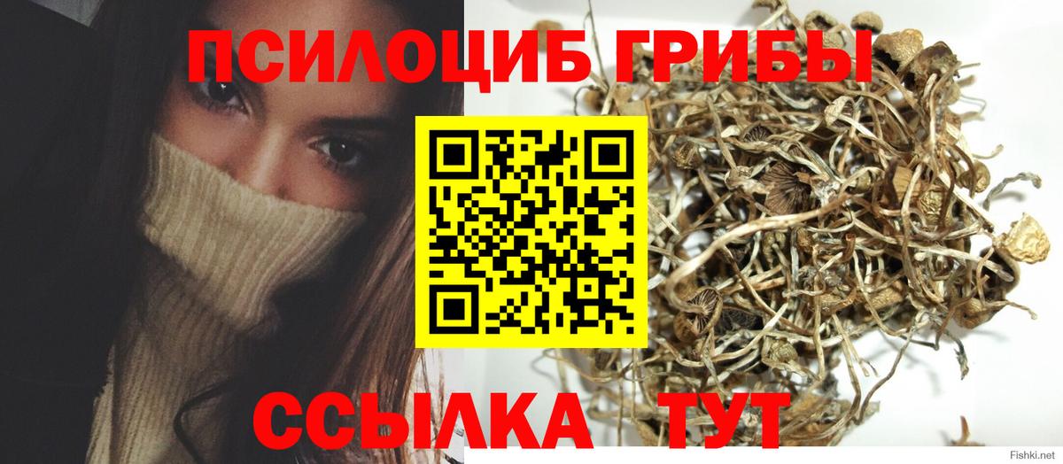 Псилоцибиновые грибы Magic Shrooms Лосино-Петровский